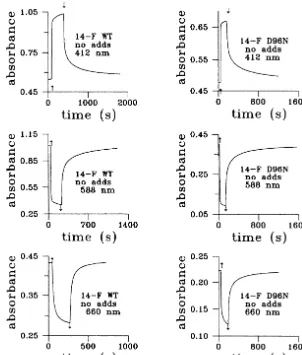 Fig. 2. Photoinduced (�monitored at 412, 588 and 660 nm.�500 nm) absorbance changes vs