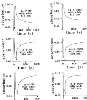 Fig. 3. Photoinduced (��500 nm) absorbance changes vs. time of 14-F WT and 14-F D96N gelatin ﬁlms with chemical additives(guanidine hydrochloride+diaminopropan) monitored at 412, 588 and 660 nm