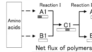 Fig. 2. Graph of a transpeptidation reaction.