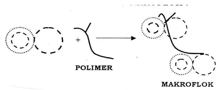 Gambar II.3 Mekanisme Pembentukan Makroflok 