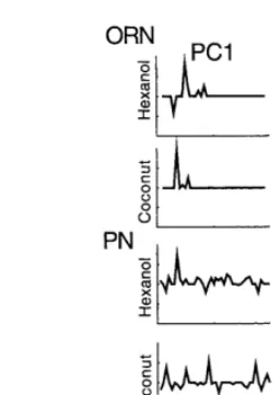 Fig. 4. Examples of the ﬁrst two PCs derived from theresponses of one OSN and one PN to stimulation with hexanoland coconut