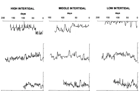 Fig. 2. Appearance of a series of measurements from the accretionary record of Semimytilus algosusEach column represents an intertidal height