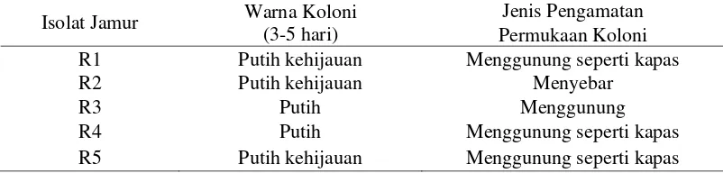 Tabel 1. Hasil Karakterisasi Isolat Jamur dari kayu karet lapuk    