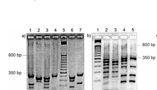 Fig. 4). In general three variations of the method