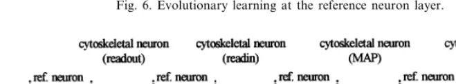 Fig. 6. Evolutionary learning at the reference neuron layer.