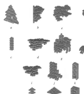 Fig. 1. Patterns produced (cubic bricks). Simulations of collective building on a 3D cubic lattice