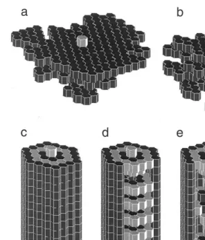 Fig. 2. Patterns produced (hexagonal bricks) Simulations of collective building on a 3D hexagonal lattice