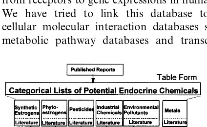Fig. 1. Making endocrine disruptor database by literaturesearch.