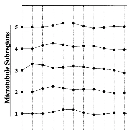 Fig. 5. Signal propagation dynamics of a single microtubulecontaining ﬁve subregions. The graph should be read from leftto right, with each time step indicating the state of themicrotubule at that time