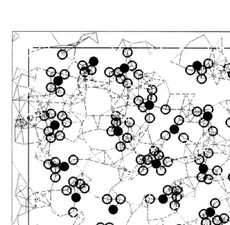 Fig. 1. Leopards’ spots as a global state on 333 cells.