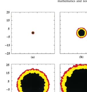 Fig. 3. The development of the central section of a tumor in time. (a) corresponds to the tumor spheroid stage, (b) to the ﬁrstdetectable lesion, (c) to diagnosis and (d) to death