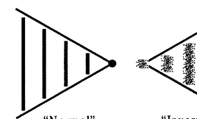 Fig. 2. A comparison between ‘normal’ and ‘inverse’ or ‘com-plementary’ rationalities.