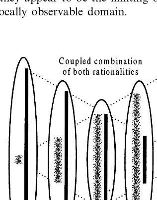 Fig. 3. Combined complementary rationalities in a non-sys-tematically-rational hierarchy.