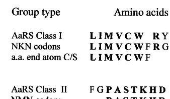 Fig. 3. ‘Alignment’ of amino recognized by class I (II) aminoa-cyl tRNA synthetase, with two amino acid groupings: (1) byatom type (Davydov, 1998)