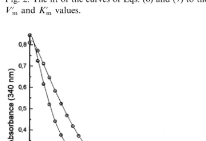 Fig. 2. The ﬁt of the curves of Eqs. (6) and (7) to the apparentV�m and K�m values.