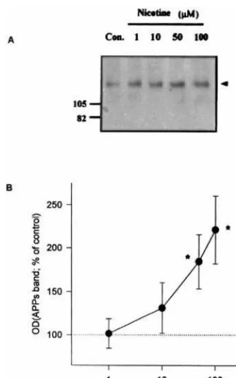 Figure 2. Time-dependent enhancing effects of nicotine on thesecretion of the secreted form of amyloid precursor proteinric measurements of the APPs band