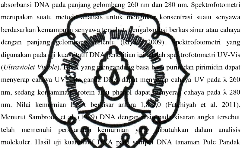 Tabel 1. Uji Kuantitatif DNA pada Sampel DNA Tanaman Pule Pandak 