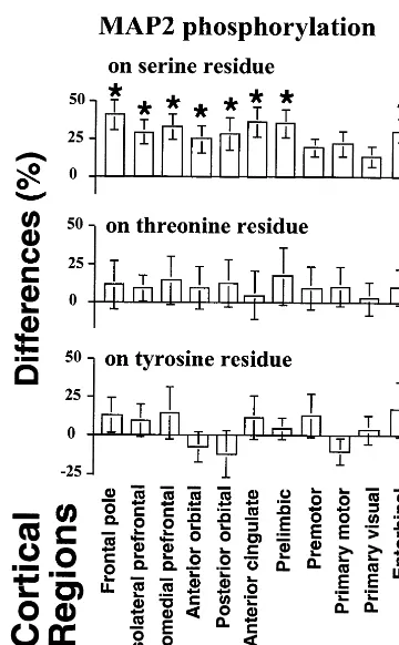 Figure 5. Histograms showing differences in microtubule-asso-ciated protein 2 (MAP2) phosphorylation on the serine, threo-nine, and tyrosine residues between control and haloperidol-treated monkeys in 11 cortical regions of the right hemisphereexamined in 