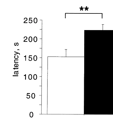 Figure 1. Serotonin 1A receptor knockout mice show increasedlatency to feed in the novelty-suppressed feeding task