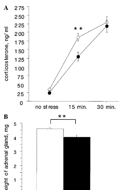 Figure 4. Decreased hypothalamic–pituitary–adrenal axis activ-ity in serotonin 1A receptor knockout mice.in 5-HT (A) Serum cortico-sterone levels after open field exposure