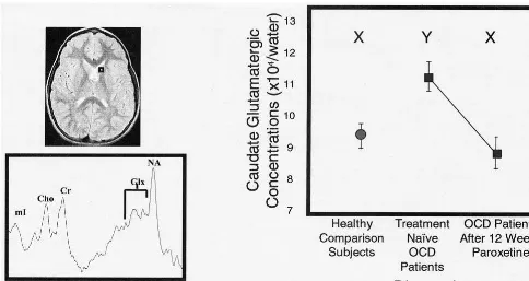 Figure 7. (Left)sharing the same letter are significantly different atas shown by the box on the T Proton magnetic resonance (MR) spectroscopic examination of a 0.7-mL volume of interest centered in the left caudate1-weighted MR image