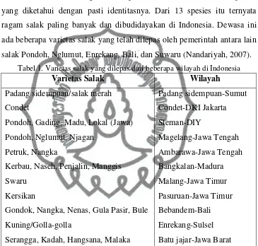 Tabel 1. Varietas salak yang dilepas dari beberapa wilayah di Indonesia 