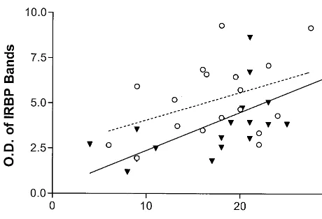 Figure 3. Correlation between the sum of imidazoline receptorbands in the hippocampus (Figure 2, panel D) and postmortembetween groups