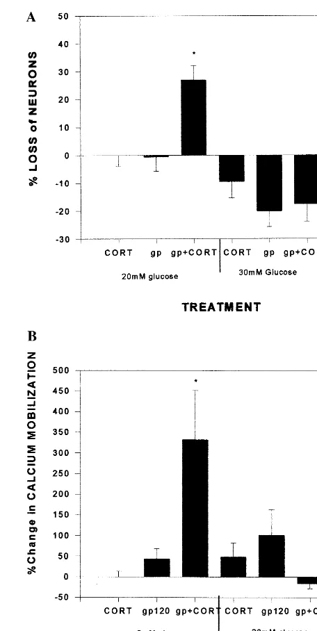Figure 3. Reversal of (A) neurotoxicity and (B) calcium mobi-lization with energy supplementation in the form of glucose (20and 30 mmol/L glucose, respectively) after insult of gp120 (200pmol/L) and corticosterone (CORT; 1 �mol/L) in mixed hip-pocampal cul