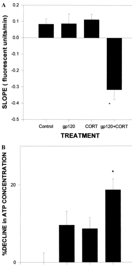 Figure 4. Decreases in (A)and mitochondrial membrane potential (B) adenosine triphosphate (ATP) levels in mixed hippocam-pal cultures after insult with gp120 (200 pmol/L) and corticoste-rone (CORT; 1 �mol/L