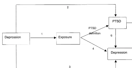 Figure 1. Putative links between depression, trauma exposure,and posttraumatic stress disorder (PTSD).