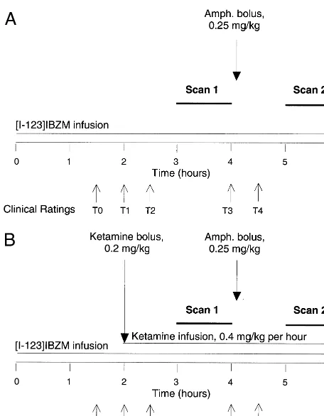 Figure 1. Protocol timeline of the first study day (A,included two single photon emission computed tomographyscans (60-min acquisition time) separated by 1 hour withintervening amphetamine bolus injection (0.25 mg/kg), all undersustained equilibrium admini