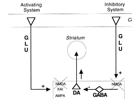 Figure 4. Simplified circuitry diagram showing control of dopa-mine (DA) cell activity in the midbrain (ventral tegmental area[VTA] and substantia nigra [SN]) by glutamatergic (GLU)projections from the prefrontal cortex (PFC)