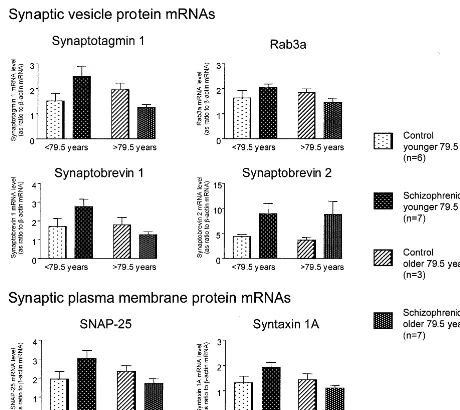 Figure 3. Levels of synaptic protein messenger RNAs (mRNAs) in the left superior temporal gyrus (Brodmann’s area 22) from controlsubjects and schizophrenic patients