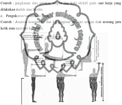 Gambar 2.2 Anthropometri Fungsional atau Dinamis Sumber : Sritomo Wignjosoebroto, 1995 