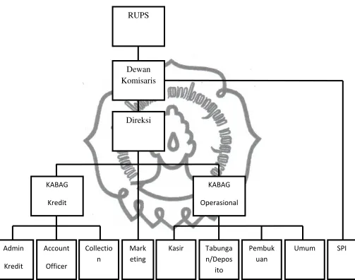 Gambar Struktur organisasi PT. BPR NGUTER SURAKARTA 