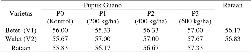 Tabel 4. Umur panen kacang hijau pada perlakuan varietas dan pupuk guano (hari) 