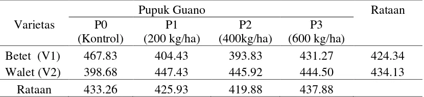 Tabel 5. Rataan jumlah biji per sampel kacang hijau (biji) pada perlakuan jenis varietas dan pupuk guano 