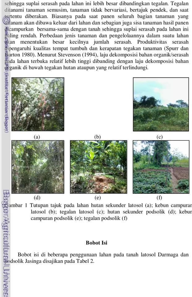 Gambar  1  Tutupan  tajuk  pada  lahan  hutan  sekunder  latosol  (a);  kebun  campuran  latosol  (b);  tegalan  latosol  (c);  hutan  sekunder  podsolik  (d);  kebun  campuran podsolik (e); tegalan podsolik (f) 