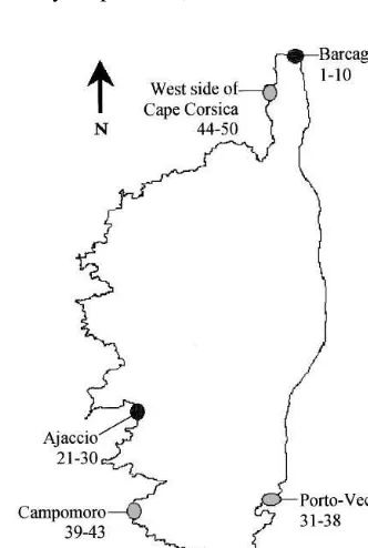 Fig. 1. Sampling of Juniperus phoenicea subsp. turbinata leaves from Corsica (dark grey: the three mostimportant locations; light grey: other locations).