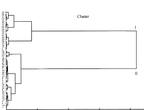 Fig. 2. Dendrogram obtained from the cluster analysis of 50 samples of Juniperus phoenicea subsp.turbinata from Corsica