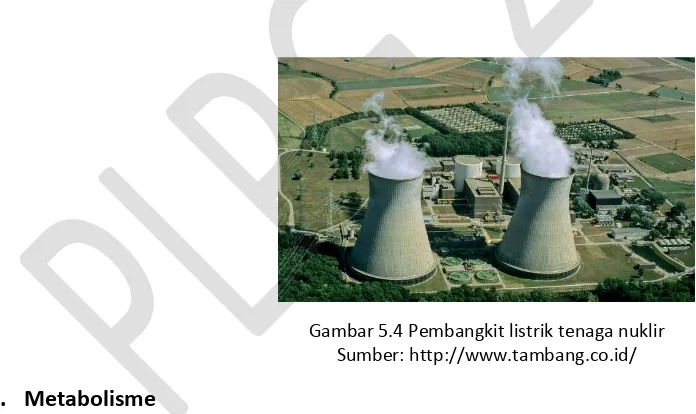 Gambar 5.4 Pembangkit listrik tenaga nuklir 