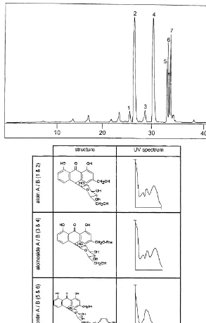 Fig. 1. A typical HPLC chromatogram of a species containing aloin B (1), aloin A (2), aloinoside B (3),aloinoside A (4), microdontin B (5), microdontin A (6) and unidentiimbalance between the anthrone isomers and the absence of chromones