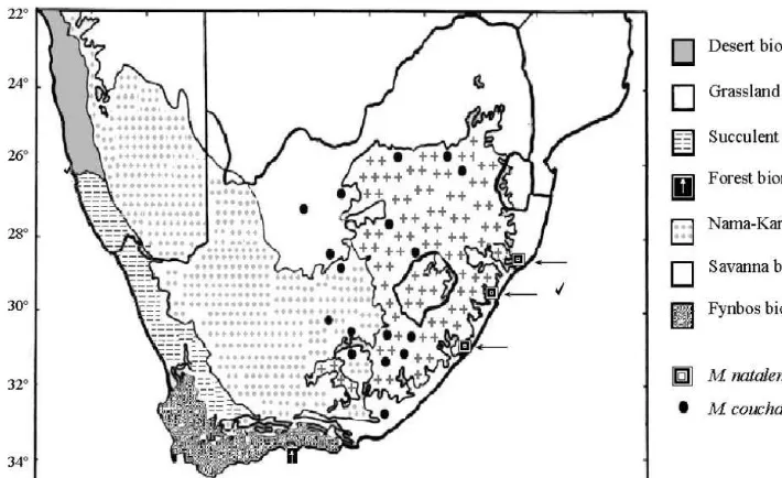 Fig. 1. The distributions of Mastomys coucha and M. natalensis according to positively identi"ed specimens.Biome types are denoted by number and the sampling sites of this study are indicated with �.