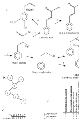Fig. 2. (a) Assumed biogenetic pathway for compounds derived from phenylalanine. Numbers abovearrows represent enzymatic conversions to be coded in cladistic analyses for character 1 (phenylalanine,Appendix)