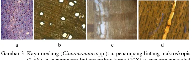Gambar 3  Kayu medang (Cinnamomum spp.): a. penampang lintang makroskopis (2,5X), b. penampang lintang mikroskopis (10X) c