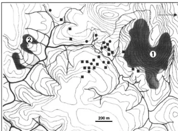 Fig. 3. Spatial distribution of Proechimyscayennensis spp. individuals caught at Les Nouragues