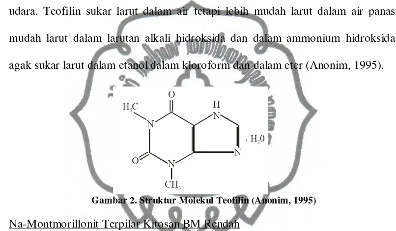 Gambar 2. Struktur Molekul Teofilin (Anonim, 1995) 