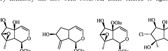 Fig. 1. Chemical structures of the four iridoids from Antirrhinum majus: antirrhinoside (1), antirrhide (2),5-glucosyl-antirrhinoside (3), and linarioside (4).
