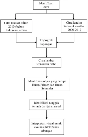 Gambar 2  Diagram alir penelitian 