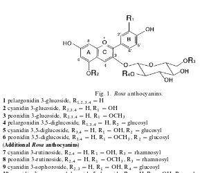 Fig. 1. Rosa anthocyanins.